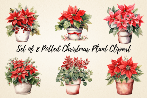 Potted Christmas Plant Clipart Bundle: Illustrations Review