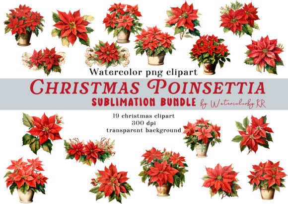 Watercolor Christmas Poinsettia Bundle Review